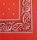 Bandana - Paisley