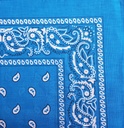 Bandana - Paisley
