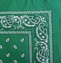 Bandana - Paisley