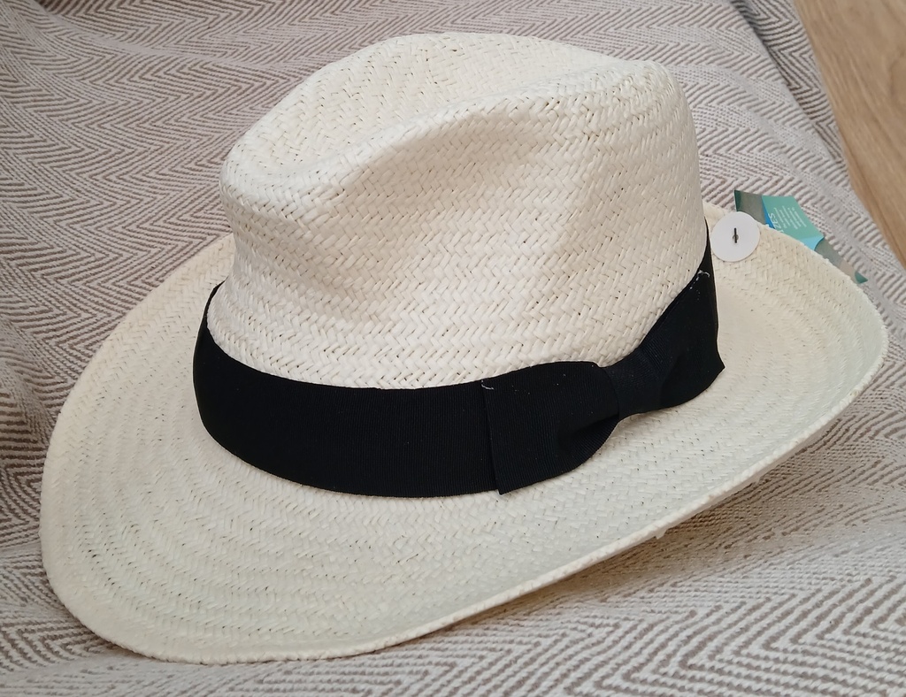 Fedora Hat with Black Band