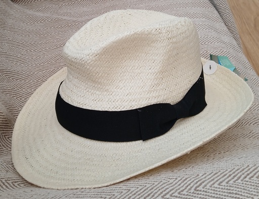 Fedora Hat with Black Band